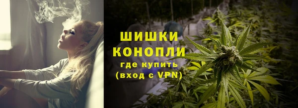 дмт Новозыбков