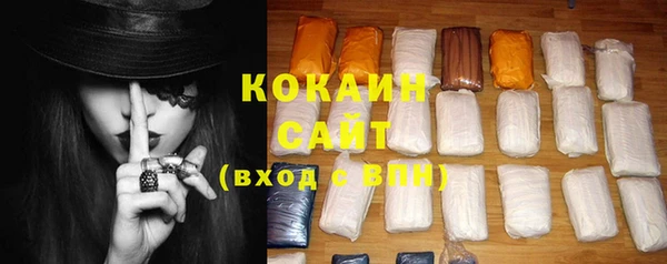 дмт Новозыбков