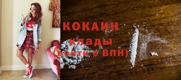 дмт Новозыбков