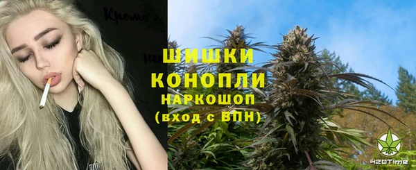 молекула духа Ахтубинск