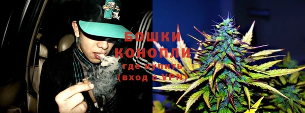 дмт Новозыбков