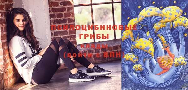 дмт Новозыбков